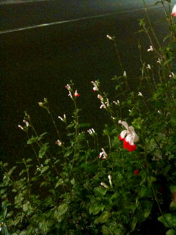 http://blog.cnobi.jp/v1/blog/user/c7c26b20caea26a38378690a0ba9a6e0/1276741638