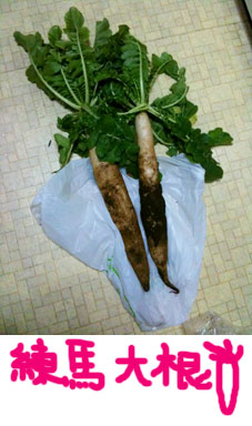 http://blog.cnobi.jp/v1/blog/user/c7c26b20caea26a38378690a0ba9a6e0/1291832416