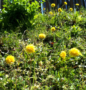 http://blog.cnobi.jp/v1/blog/user/c7c26b20caea26a38378690a0ba9a6e0/1334540909