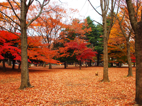 http://blog.cnobi.jp/v1/blog/user/c7c26b20caea26a38378690a0ba9a6e0/1354860713