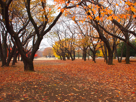 http://blog.cnobi.jp/v1/blog/user/c7c26b20caea26a38378690a0ba9a6e0/1354860714