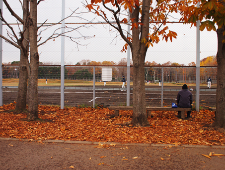 http://blog.cnobi.jp/v1/blog/user/c7c26b20caea26a38378690a0ba9a6e0/1354860772