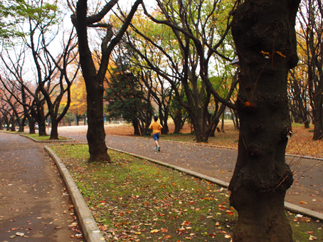 http://blog.cnobi.jp/v1/blog/user/c7c26b20caea26a38378690a0ba9a6e0/1354860773