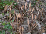 3tukusi080406_u2.jpg