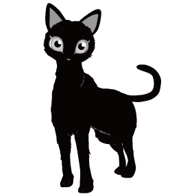 Cat picture Black cat Printing animal artist