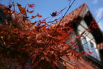 IMG_7163.JPG