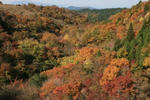 IMG_7220.JPG