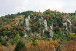 IMG_7236.JPG