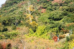 IMG_7256.JPG