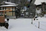 IMG_7490.JPG