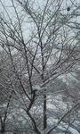 200802021301000.jpg