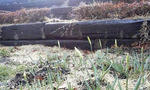 P1000070.jpg