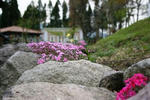 IMG_8211.JPG