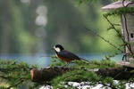 IMG_8585.JPG