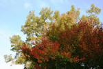 IMG_9794.JPG