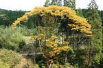 IMG_9817.JPG