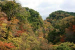IMG_9828.JPG