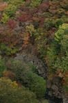 IMG_9863.JPG