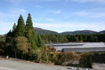 IMG_9985.JPG
