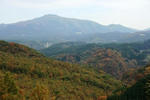 IMG_9995.JPG