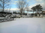 2009010208160001.jpg
