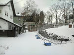 2009010208200000.jpg