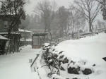 2009121808390000.jpg