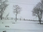 2009121808400000.jpg