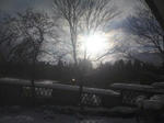 2010011408480000.jpg