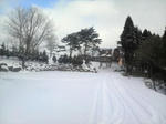 2010011409350000.jpg