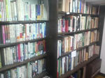 2010012811040000.jpg
