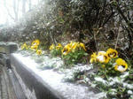 2010041508330000.jpg