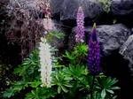 2011060212030000.jpg