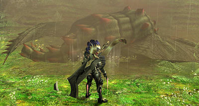 mhf_20091111_071725_687.jpg