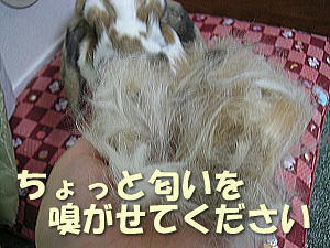 070712_5.jpg