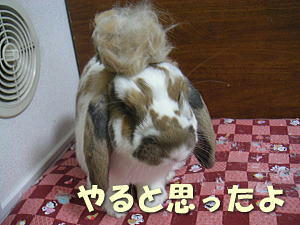 070712_6.jpg