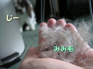 070715.jpg
