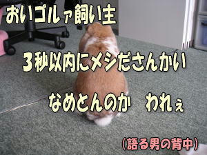 070803_3.jpg
