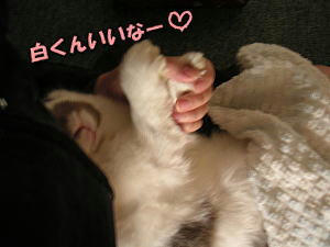 070809_2.jpg
