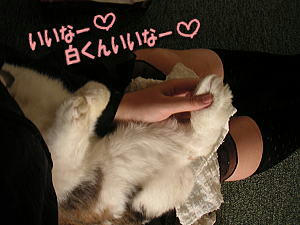 070809_3.jpg