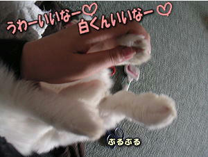 070809_4.jpg