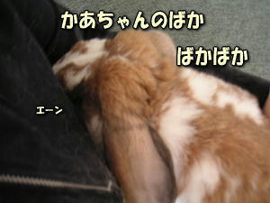 070809_5.jpg