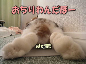 0708_5.jpg