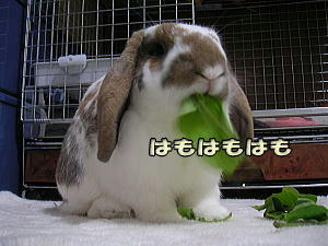 070905_1.jpg