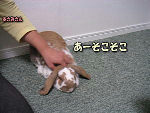 071007_3.jpg