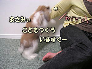 071007_4.jpg