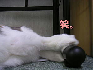 071007_7.jpg