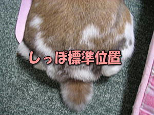 071007_9.jpg
