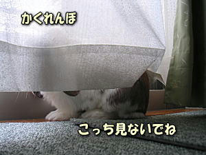 071013_1.jpg