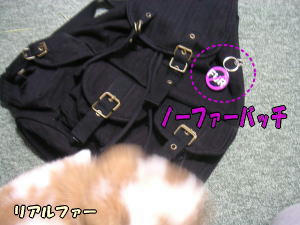 071104_7.jpg